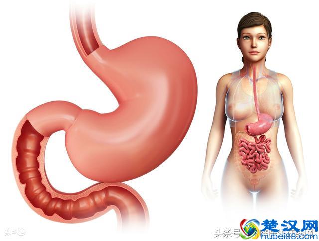 经常胃胀气怎么办？这4个妙招，快速排气很轻松