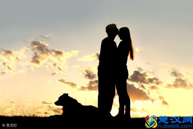 在丁克夫妻眼里，什么才是最重要的？