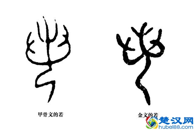 成语“望洋兴叹”典故里，“望洋向若而叹”，“若”是什么？