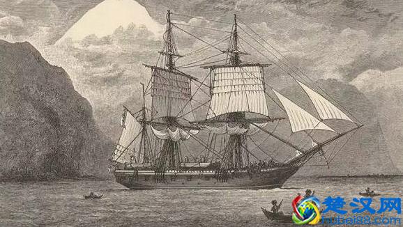 发明生物演化论的达尔文，也许是科学史上的一个异数！