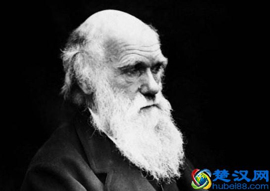 发明生物演化论的达尔文，也许是科学史上的一个异数！