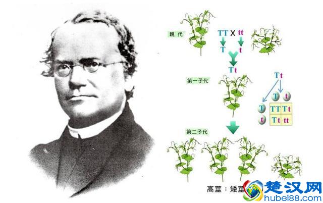 发明生物演化论的达尔文，也许是科学史上的一个异数！