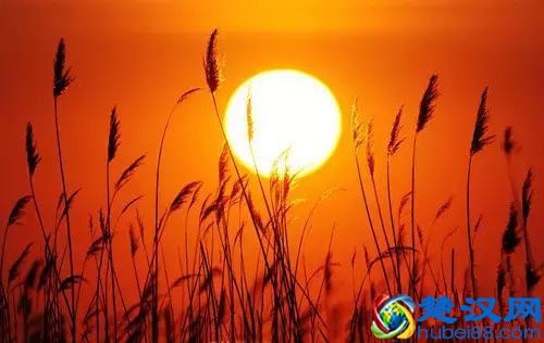 人生需有度，过犹不及！