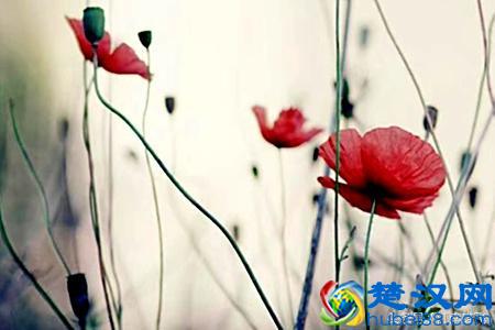 时过境迁，物是人非，各自安好