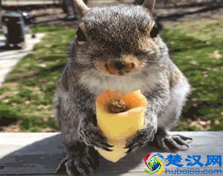 华人注意：澳洲夏令时即将结束，和中国时差变回2小时