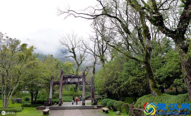 每天一个成语知识小课堂——鞭长莫及：比喻力不能及。