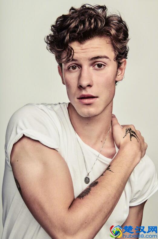 全球最炙手可热95后男歌手，16岁就成开挂少年，还跟海狸传绯闻？