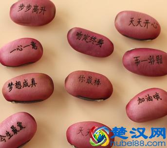 种植随手记-魔豆篇