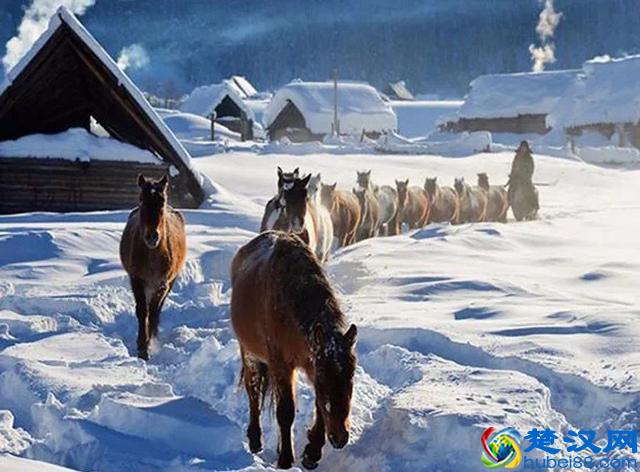 冬天适合去哪里旅行?快收下这五个冬季最佳反季旅游景点