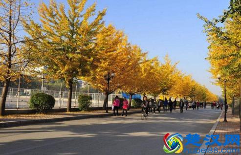 北方秋天成熟的水果有哪些 北方秋天吃什么水果好