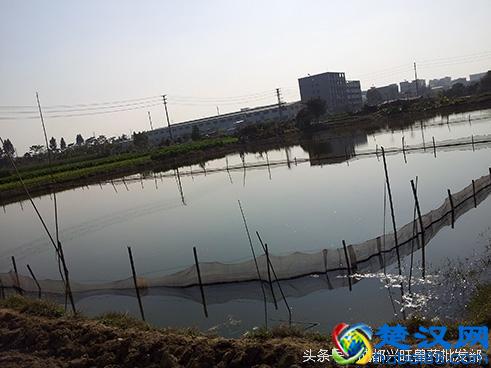 养鱼技术有决窍, 八字精华要记牢