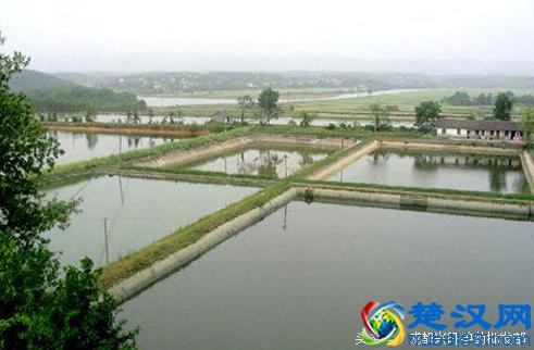 养鱼技术有决窍, 八字精华要记牢