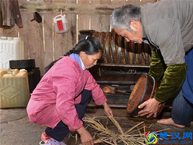 农村茶油100元一斤，看完村民榨茶油过程你还觉得贵？