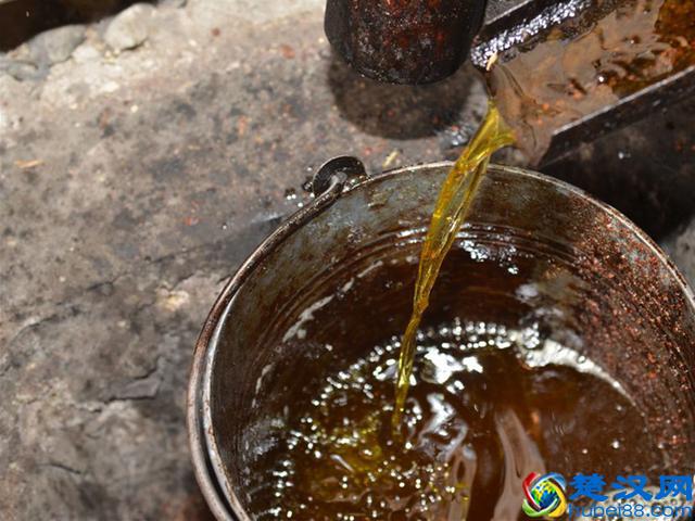 农村茶油100元一斤，看完村民榨茶油过程你还觉得贵？