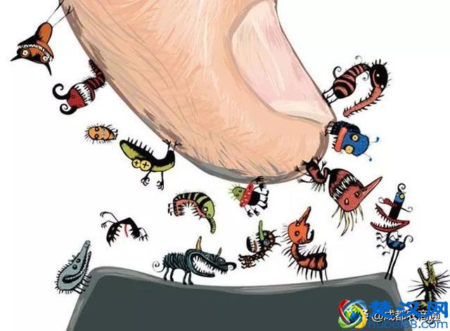 土鸡养殖技术！只需要知道这两点，你就是高手！