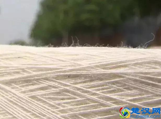 你真的知道你身上穿的是什么面料吗？（面料知识大全）