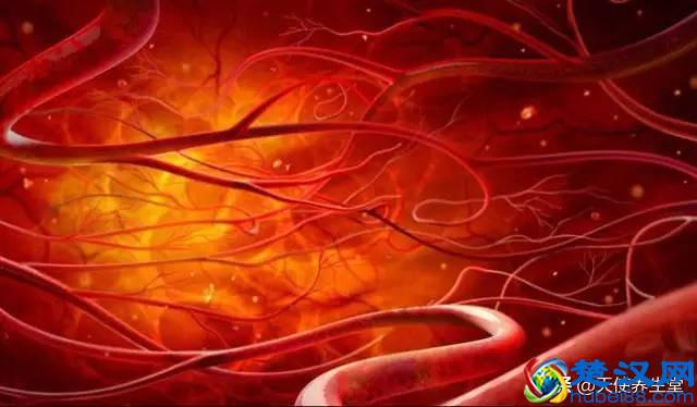 鸡精和鸡关系很小，和谷氨酸钠关系更大，吃多伤血管！