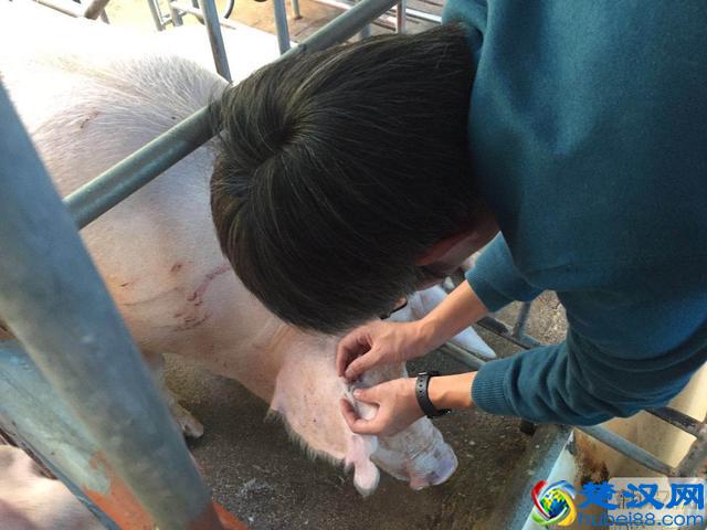 经销商趋之若鹜，这是什么产品这么抢手？