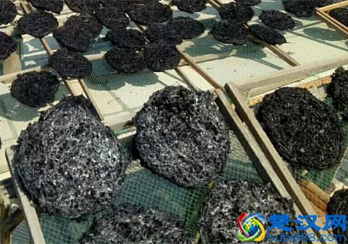 干货是什么意思？都有哪些种类？