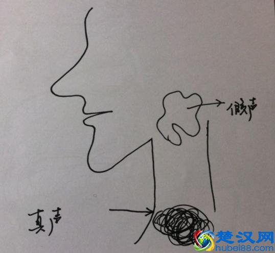 假声怎么发出？练假声的实用唱歌技巧都在这里！