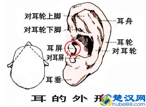 假声怎么发出？练假声的实用唱歌技巧都在这里！