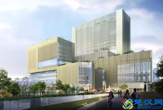 未来四个月，去澳门的深圳人请注意