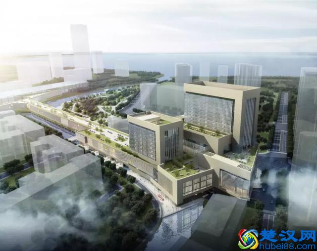 未来四个月，去澳门的深圳人请注意