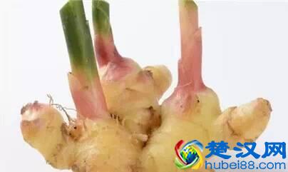 减肥要吃，长了小痘痘要吃，皮肤干燥要吃，淡化色斑