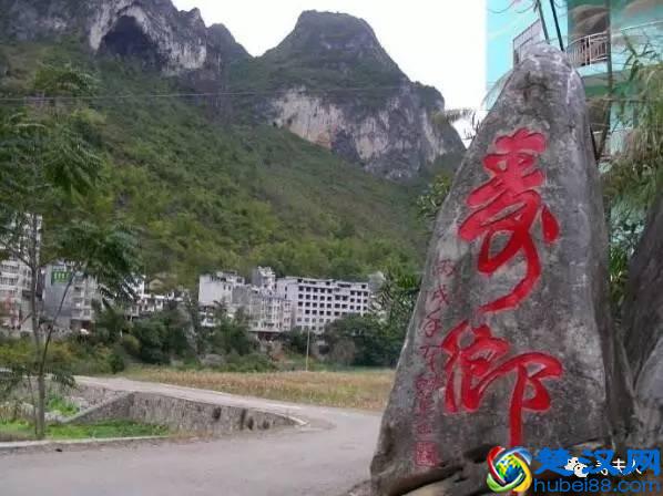 巴马火麻油不适宜哪些人群？食之有神奇疗效？