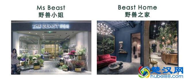 承包半个娱乐圈婚礼，野兽派的“野兽式”爆发