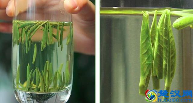碧螺春茶怎么泡？冲泡的小技巧，让茶香更浓郁