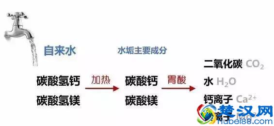 “水垢”那么脏，对我们人体是否有害？