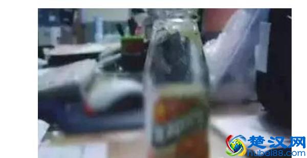 鹿晗怒骂跟车黄牛 啥是私生饭？盘点被私生饭逼疯的明星