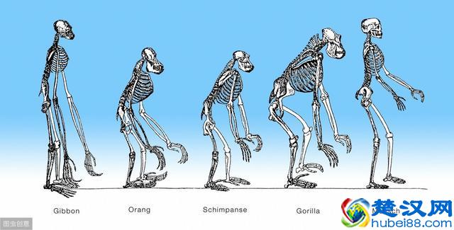 假期在家，孩子们应该做些什么