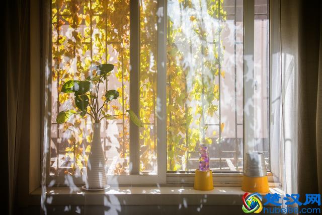 适合女性一个人做的小生意有哪些