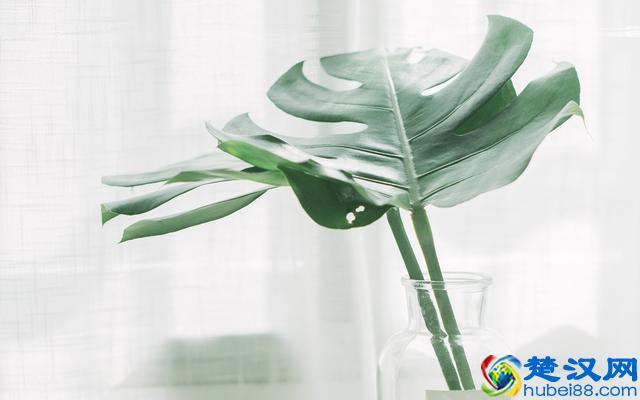 适合女性一个人做的小生意有哪些