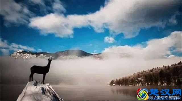 有一千元可以做什么小生意？做自媒体？别做梦了！