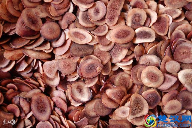 鹿茸的9大功效,以及5种食用方法