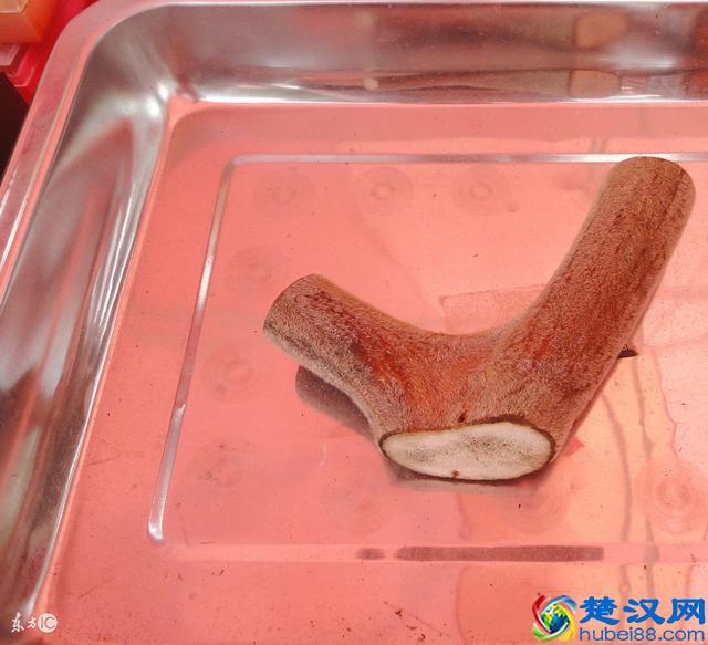 鹿茸的9大功效,以及5种食用方法