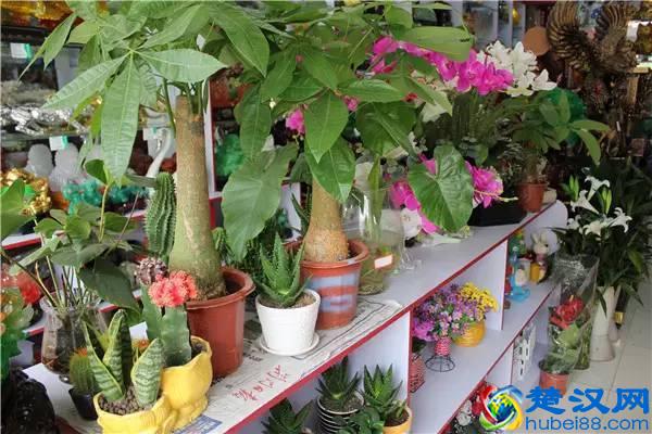 10大冷门暴利创业好项目，看看有没适合你的