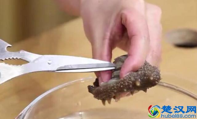 用正确步骤泡发干海参：简单易懂，人人都能上手
