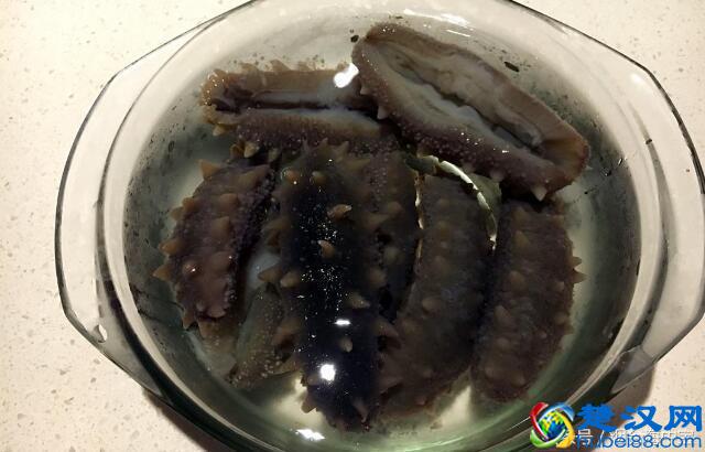 用正确步骤泡发干海参：简单易懂，人人都能上手