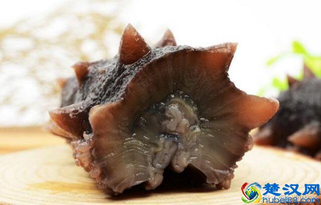 用正确步骤泡发干海参：简单易懂，人人都能上手