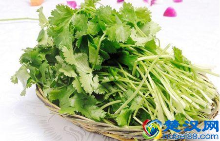 香菜煮水的功效与作用及禁忌