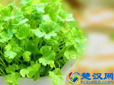 香菜煮水的功效与作用及禁忌
