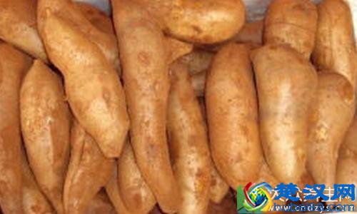 雪莲果的功效与作用以及雪莲果的吃法