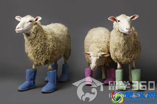 2015年全球十大雪地靴品牌排名报告