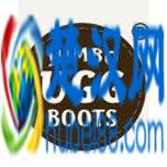 2015年全球十大雪地靴品牌排名报告