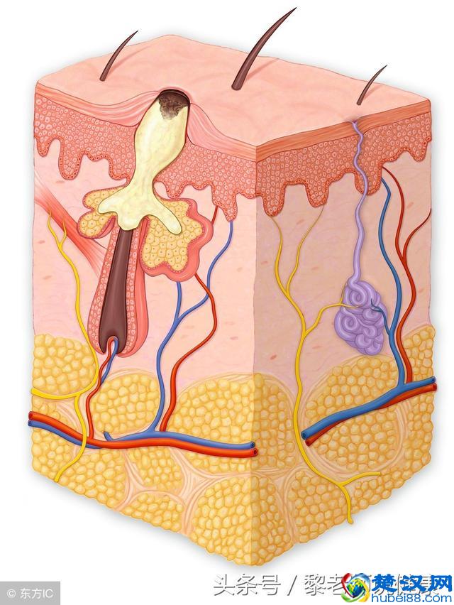 “祛痘神器”硫磺皂，你还在用吗？这3个坏处，你应该要知道！