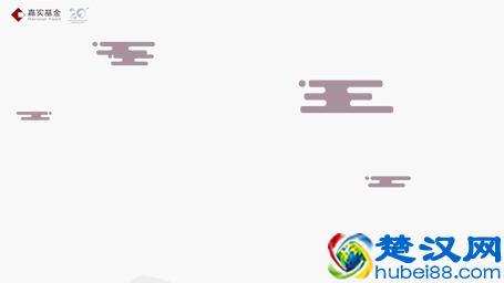 我们每天都看到汇率变化，汇率世界到底是什么样的？